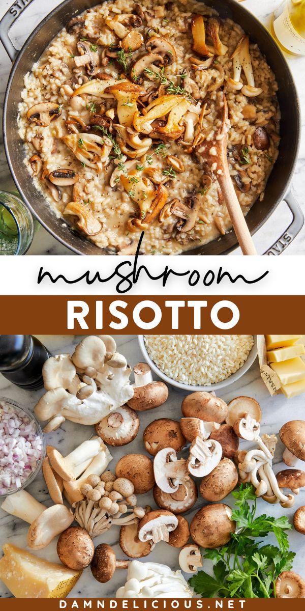 Oyster Risotto