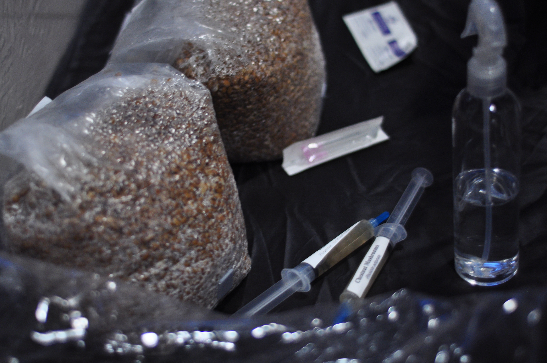 Close-up of inoculated grain bags resting on a workbench alongside the tools used during sterile cultivation